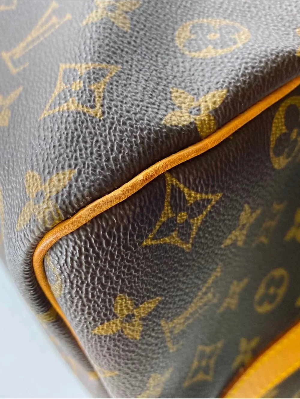 Louis Vuitton iconic louis